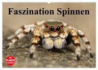 Faszination Spinnen (Wandkalender 2025 DIN A2 quer), CALVENDO Monatskalender