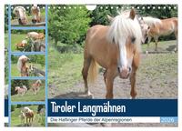 Tiroler Langmähnen (Wandkalender 2026 DIN A4 quer), CALVENDO Monatskalender