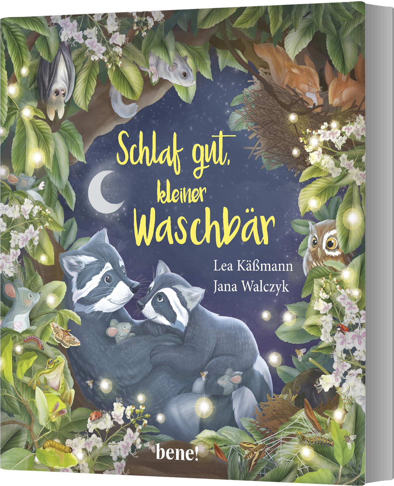 Schlaf gut, kleiner Waschbär – ein Bilderbuch für Kinder ab 2 Jahren
