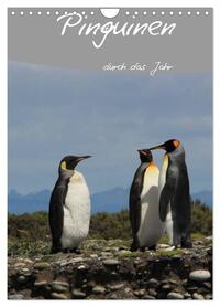 Mit Pinguinen durch das Jahr (Wandkalender 2026 DIN A4 hoch), CALVENDO Monatskalender