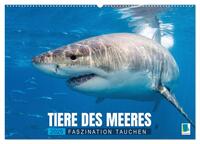 Tiere des Meeres: Faszination Tauchen (Wandkalender 2025 DIN A2 quer), CALVENDO Monatskalender