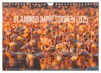 Flamingo Impressionen 2025 (Wandkalender 2025 DIN A4 quer), CALVENDO Monatskalender