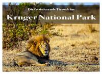 Vorderes Coverbild Faszinierende Tierwelt des Kruger National Parks (Wandkalender 2025 DIN A2 quer), CALVENDO Monatskalender
