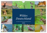 Wildes Deutschland (Wandkalender 2026 DIN A4 quer), CALVENDO Monatskalender