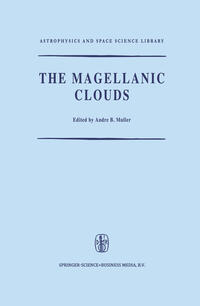 The Magellanic Clouds