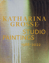 Katharina Grosse Studio Paintings 1988–2022