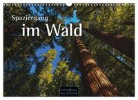 Spaziergang im Wald (Wandkalender 2026 DIN A3 quer), CALVENDO Monatskalender