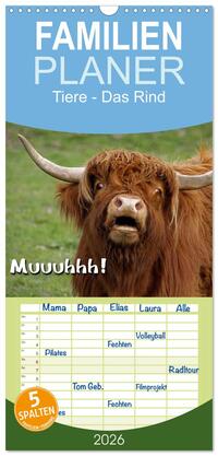 Familienplaner 2026 - Muuuhhh! mit 5 Spalten (Wandkalender, 21 x 45 cm) CALVENDO