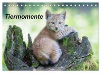 Tiermomente (Tischkalender 2025 DIN A5 quer), CALVENDO Monatskalender