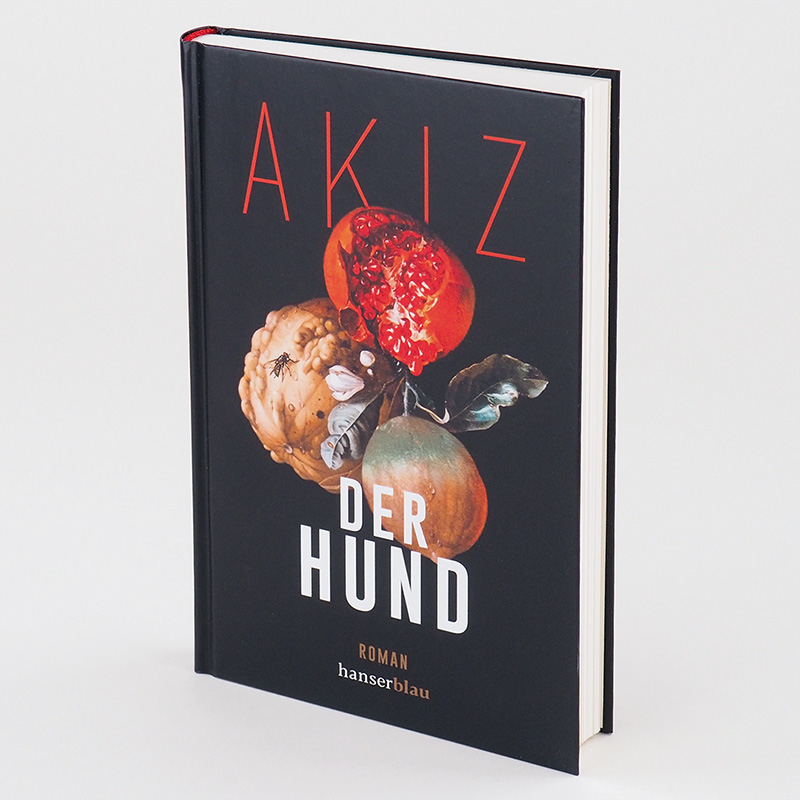 Beispielinhalt (Bild) Der Hund