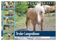 Tiroler Langmähnen (Tischkalender 2026 DIN A5 quer), CALVENDO Monatskalender