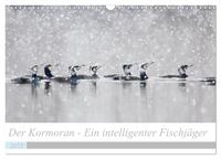 Der Kormoran - Ein intelligenter Fischjäger (Wandkalender 2025 DIN A3 quer), CALVENDO Monatskalender
