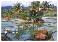 Peter Fischer - Bali 2025 (Wandkalender 2025 DIN A3 quer), CALVENDO Monatskalender