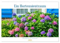 Ein Hortensientraum (Wandkalender 2026 DIN A2 quer), CALVENDO Monatskalender