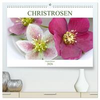 Christrosen (hochwertiger Premium Wandkalender 2026 DIN A2 quer), Kunstdruck in Hochglanz