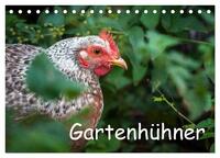 Gartenhühner (Tischkalender 2025 DIN A5 quer), CALVENDO Monatskalender