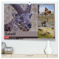 Steinwild am Pilatus (hochwertiger Premium Wandkalender 2025 DIN A2 quer), Kunstdruck in Hochglanz