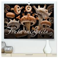 Fruta incognita - Die wundersame Welt des Fotografen Olaf Bruhn (hochwertiger Premium Wandkalender 2025 DIN A2 quer), Kunstdruck in Hochglanz