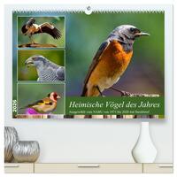 Heimische Vögel des Jahres (hochwertiger Premium Wandkalender 2026 DIN A2 quer), Kunstdruck in Hochglanz