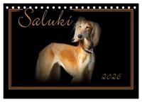 Saluki 2026 (Tischkalender 2026 DIN A5 quer), CALVENDO Monatskalender