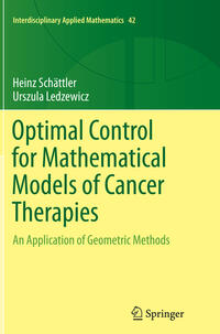 Optimal Control for Mathematical Models of Cancer Therapies