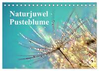 Naturjuwel Pusteblume (Tischkalender 2025 DIN A5 quer), CALVENDO Monatskalender