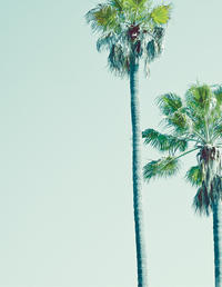 Los Angeles