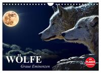 Wölfe. Graue Eminenzen (Wandkalender 2026 DIN A4 quer), CALVENDO Monatskalender