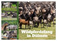 Faszination Wildpferdefang in Dülmen (Wandkalender 2025 DIN A2 quer), CALVENDO Monatskalender