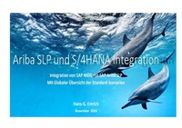 Integration von MDG-BP (Lieferant) mit SAP Ariba Supplier Lifecycle and Performance (SLP) im Rahmen des Business Partnering-Prozesses