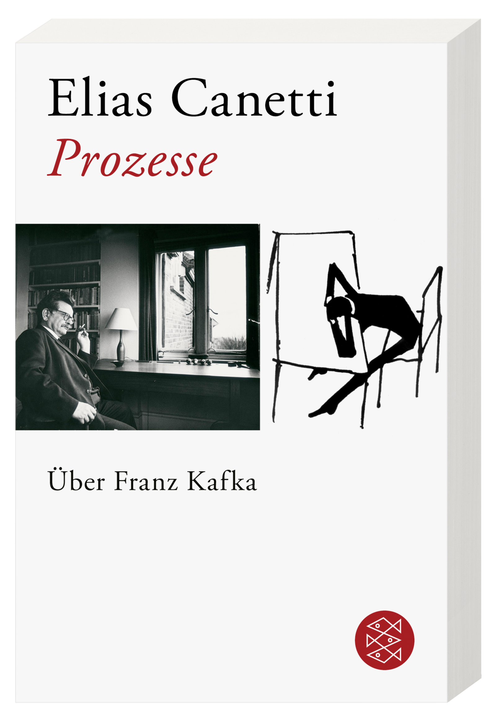 Prozesse. Über Franz Kafka