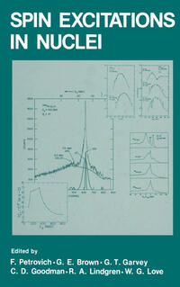 Spin Excitations in Nuclei
