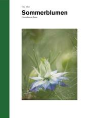 Sommerblumen