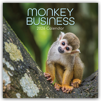 Monkey Business 2026 – 16-Monatskalender