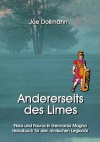 Andererseits des Limes