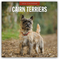 Cairn Terriers – Cairn Terrier 2026 – 16-Monatskalender