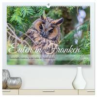 Vorderes Coverbild Eulen in Franken (hochwertiger Premium Wandkalender 2025 DIN A2 quer), Kunstdruck in Hochglanz