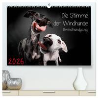 Die Stimme der Windhunde (hochwertiger Premium Wandkalender 2026 DIN A2 quer), Kunstdruck in Hochglanz