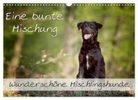 Eine bunte Mischung - wunderschöne Mischlingshunde / Geburtstagskalender (Wandkalender 2026 DIN A3 quer), CALVENDO Monatskalender