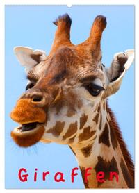Giraffen (Wandkalender 2026 DIN A2 hoch), CALVENDO Monatskalender