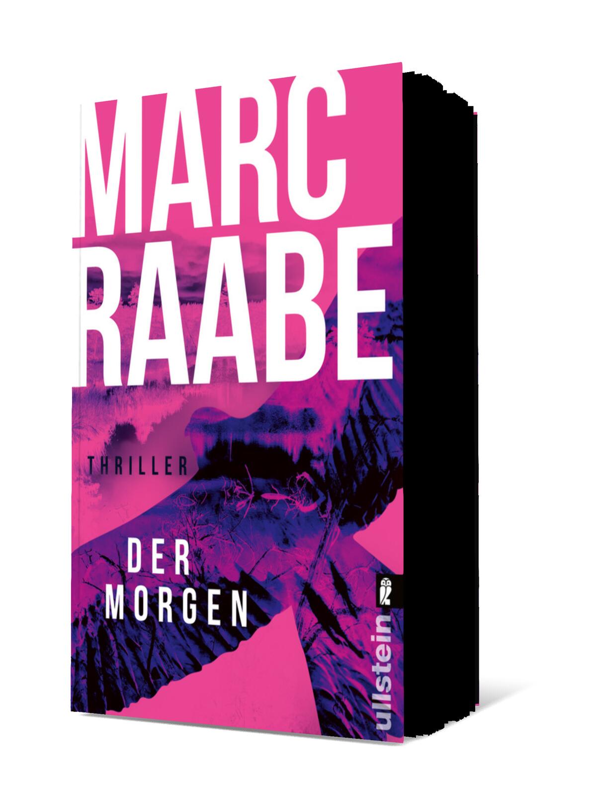 Der Morgen (Art Mayer-Serie 1)