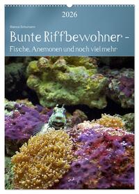 Bunte Riffbewohner - Fische, Anemonen und noch viel mehr (Wandkalender 2026 DIN A2 hoch), CALVENDO Monatskalender