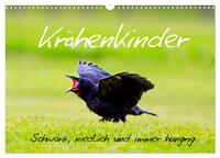 Krähenkinder - Schwarz, niedlich und immer hungrig (Wandkalender 2025 DIN A3 quer), CALVENDO Monatskalender