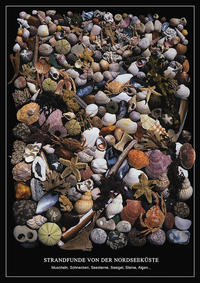 Strandfunde von der Nordseeküste - Poster