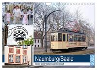 Naumburg/Saale - Bilder einer liebenswerten Stadt (Wandkalender 2025 DIN A4 quer), CALVENDO Monatskalender