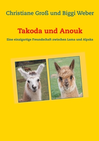 Vorderes Coverbild Takoda und Anouk