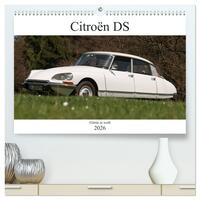 Citroën DS - Göttin in weiß (hochwertiger Premium Wandkalender 2026 DIN A2 quer), Kunstdruck in Hochglanz