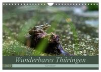Wunderbares Thüringen - Gewässer (Wandkalender 2025 DIN A4 quer), CALVENDO Monatskalender