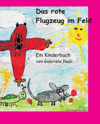 Das rote Flugzeug im Feld