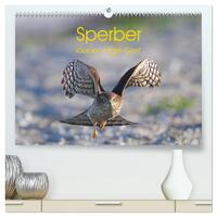 Sperber - Kleiner Vogel Greif (hochwertiger Premium Wandkalender 2025 DIN A2 quer), Kunstdruck in Hochglanz